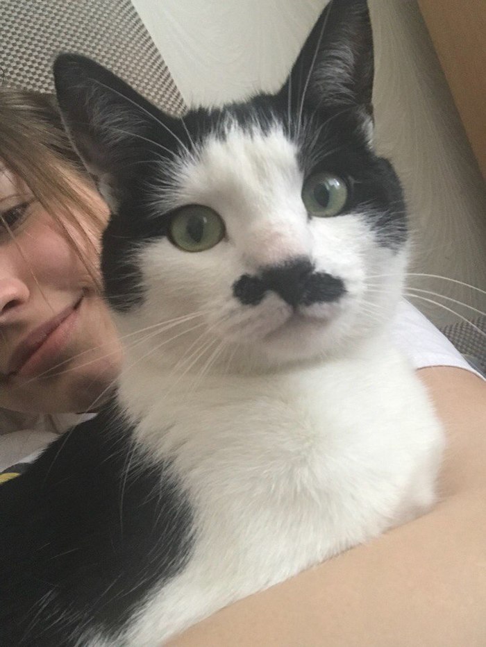 ������� � ������ #76.0