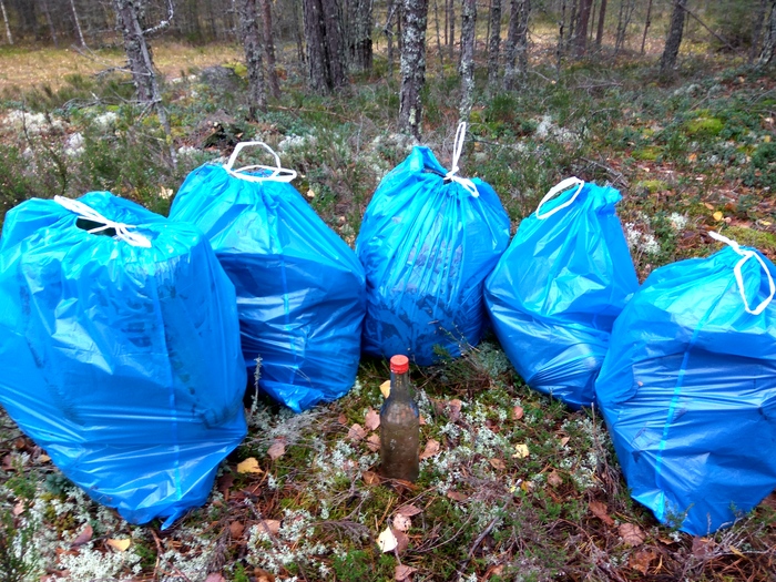 Last forest harvest of the season - My, Clean forest, Chistoman, Cleaning, Garbage, Dump, Protection of Nature, Longpost