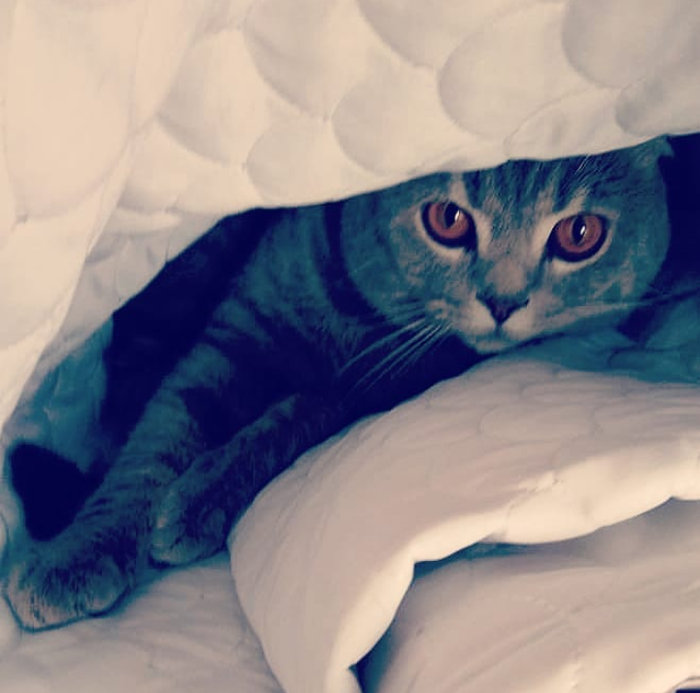 ���� ������...