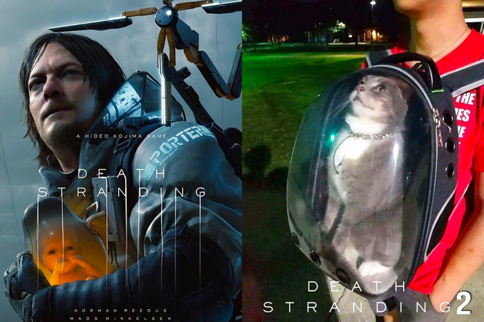 Death Stranding:Cat Edition