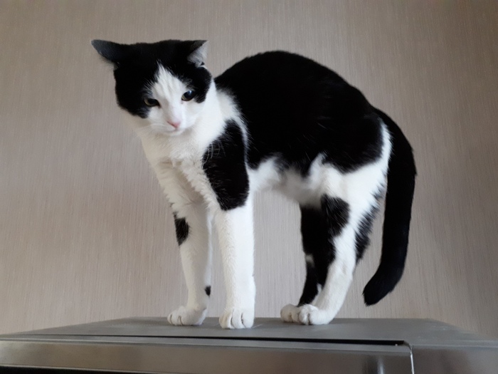 ��� ������ "���� ����� ������"?