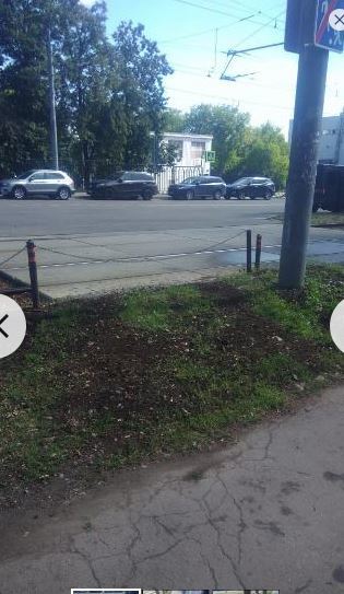 Pigs in Moscow - My, Traffic police, Lawn, Traffic rules, Неправильная парковка, Pig, Longpost