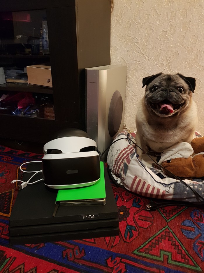     ) Playstation 4, , ,  , 