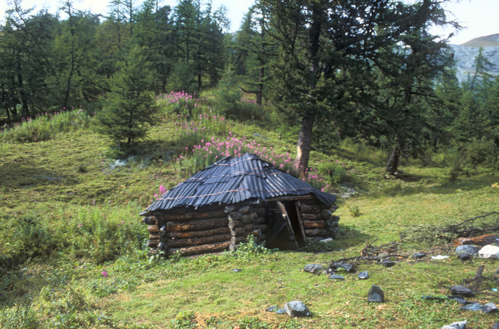 Gone as hermits in the taiga, so as not to pay debts - Duty, Taiga, Alimony, Hermits, Krasnoyarsk region