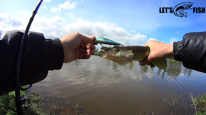 Добро пожаловать к нам на канал и в группу ВК Lets Fish | Рыбалка и отдых - Моё, Воблер, Воблеры с Алиэкспресс, Щука, YouTube, Длиннопост