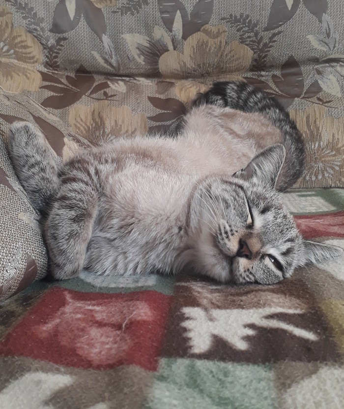 ,    , , 