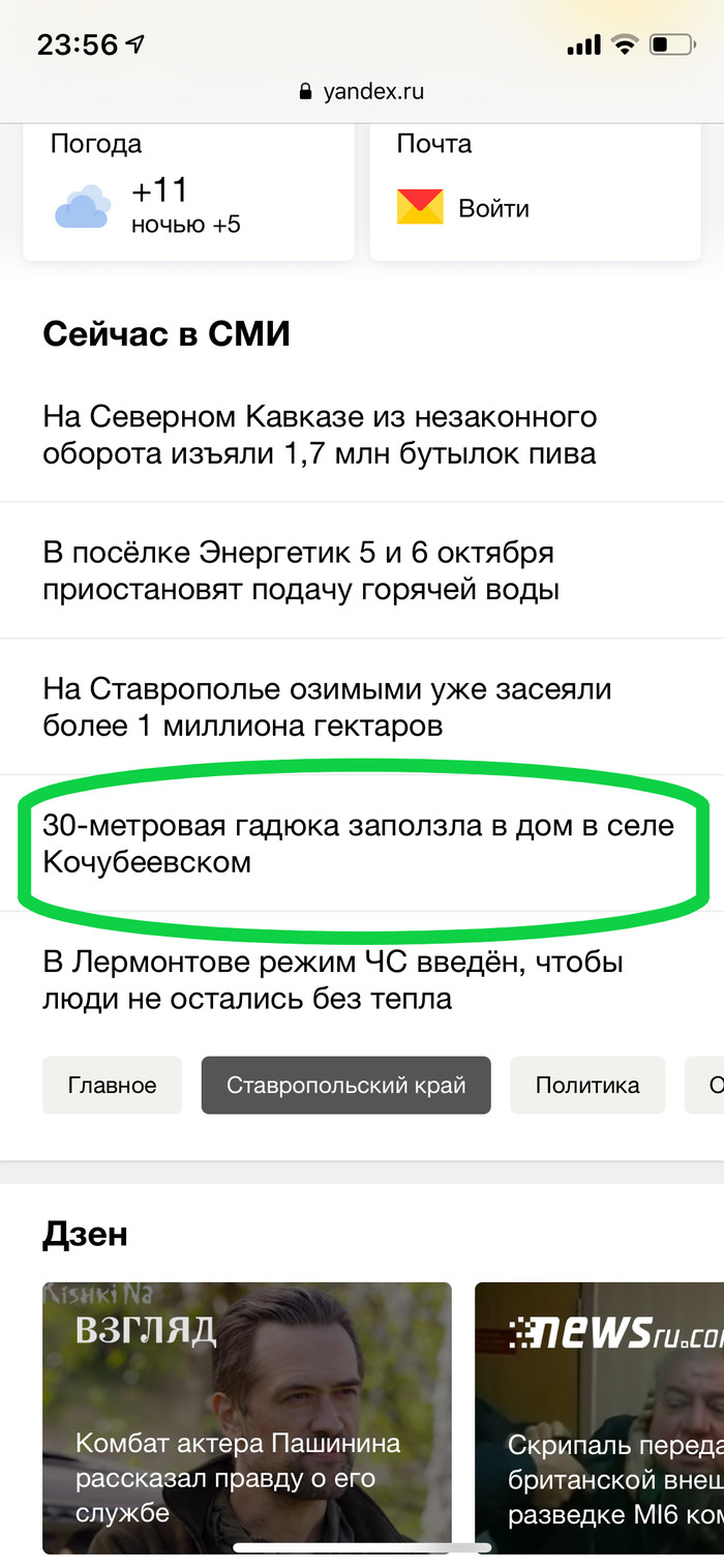 А вы говорите Австралия )) - Змея, Австралия, Ставропольский край, Яндекс Новости, Длиннопост