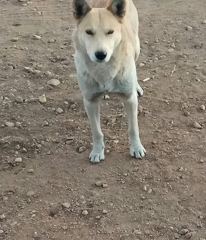 100 к 1 что упало и пропало. Смотреть фото 100 к 1 что упало и пропало. Смотреть картинку 100 к 1 что упало и пропало. Картинка про 100 к 1 что упало и пропало. Фото 100 к 1 что упало и пропало 100 к 1 что упало и пропало. Смотреть фото 100 к 1 что упало и пропало. Смотреть картинку 100 к 1 что упало и пропало. Картинка про 100 к 1 что упало и пропало. Фото 100 к 1 что упало и пропало