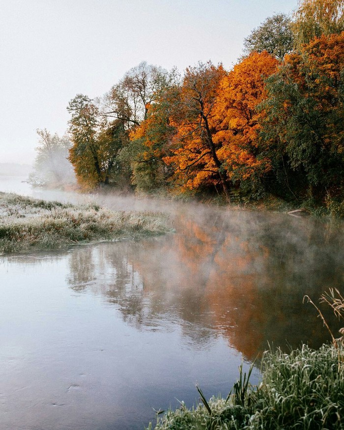 Nature of the Vladimir region. - Vladimir region, Nature, beauty of nature, Autumn, beauty, The photo, Russia