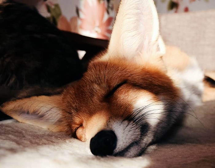 Утро субботы ^.^