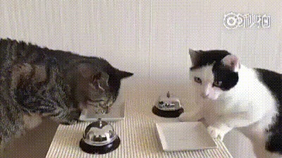 Галя, жрать!