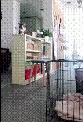 !