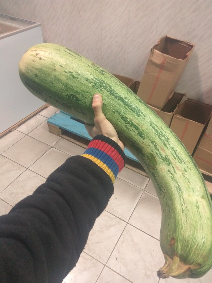 Here is a zucchini - My, Vegetables, Mutant, Overgrowth