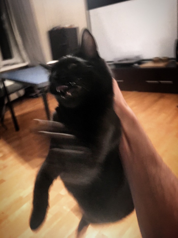 ���� �������