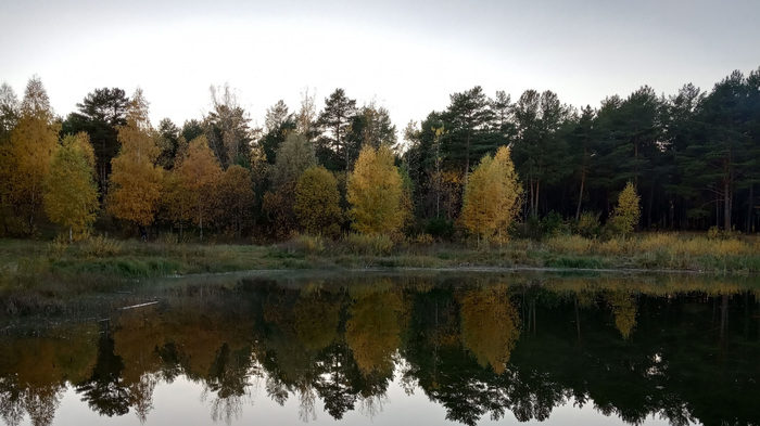 Once it was a quarry. - My, Naberezhnye Chelny, Nature, The photo, Autumn, , Career, Xiaomi Redmi 6A