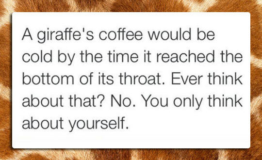 The giraffe's coffee will be cold by the time it reaches the end of the neck. - Giraffe, Coffee, Neck