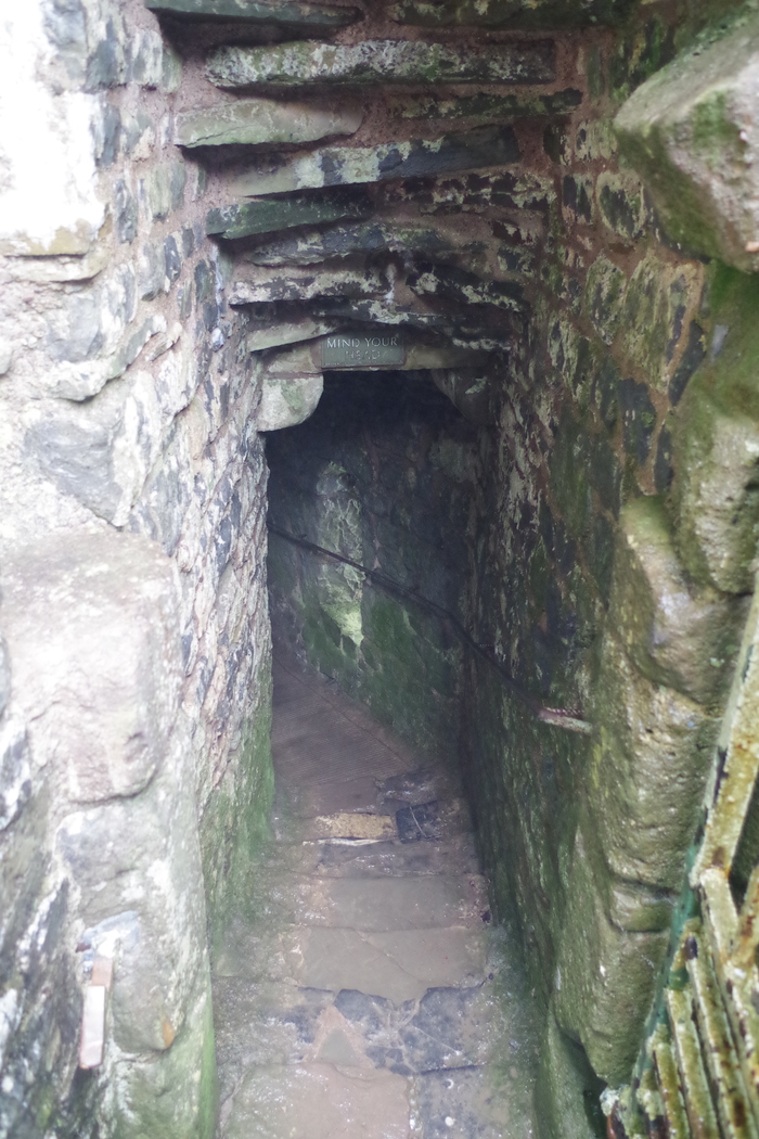 Путешествие в Уэльс. Часть 1. Путешествия, Англия, Уэльс, Фотография, Горы, Овцы красивые животные, Длиннопост