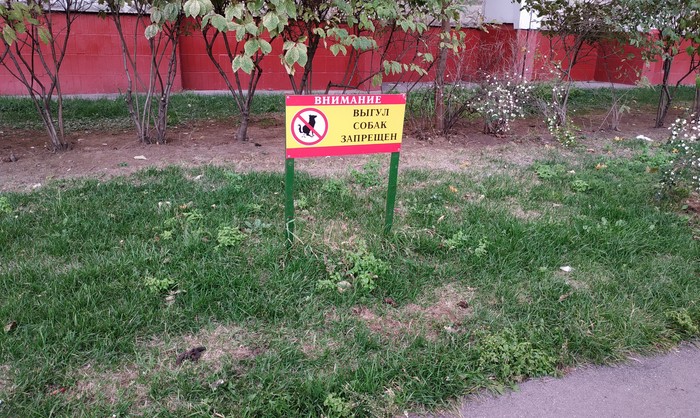 ��� ������))