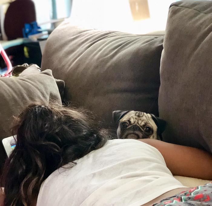 ��� ��������