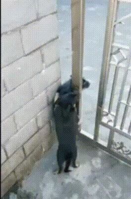 Эй,а как же я?!