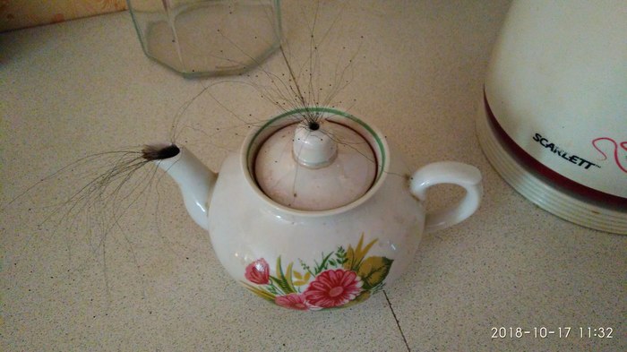  , , , , 