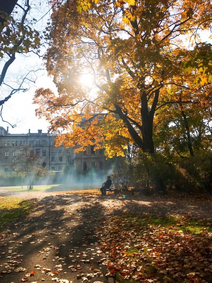 Autumn in Riga - My, beauty of nature, Riga, Autumn