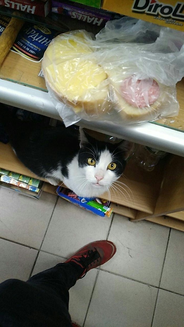 ����� ����, �������?