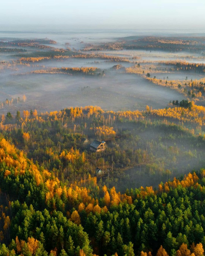 Cover in the fog, Vladimir region - The photo, Nature, beauty of nature, Fog, Russia, beauty, Vladimir region, Autumn