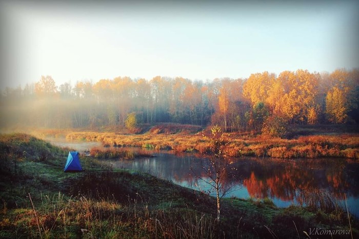 Golden autumn on the river. - My, Gold, Nature, dawn, Autumn