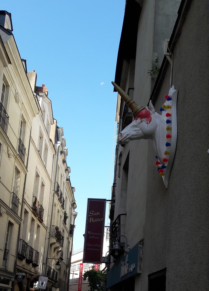 Unicorn. - My, Unicorn, France, Nantes, Longpost