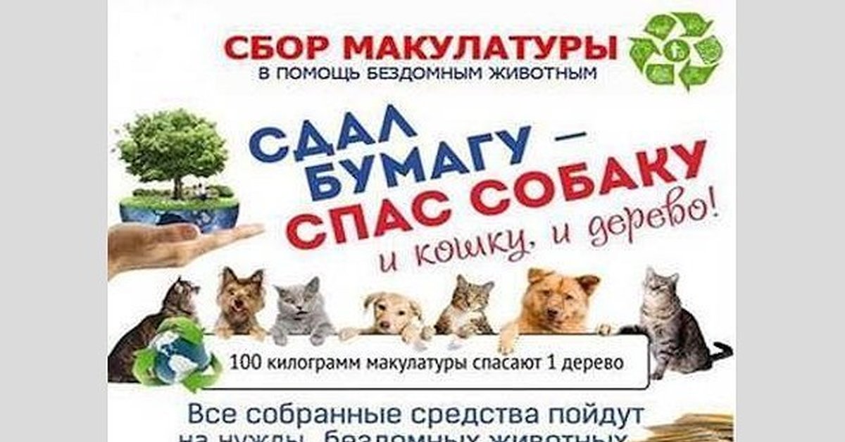 Помощь кошкам