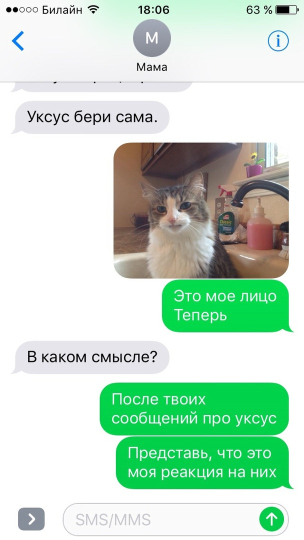 Как объяснить маме зачем нужны мемы