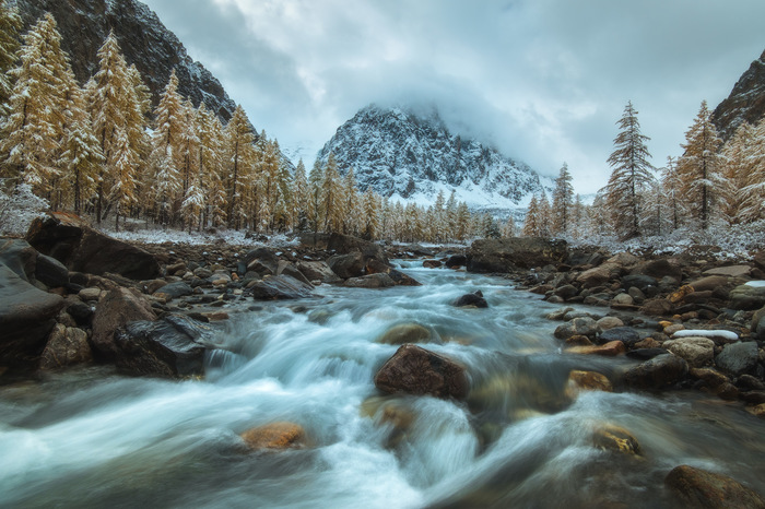 First snow - The national geographic, The photo, Snow, Water, The mountains, Forest, River