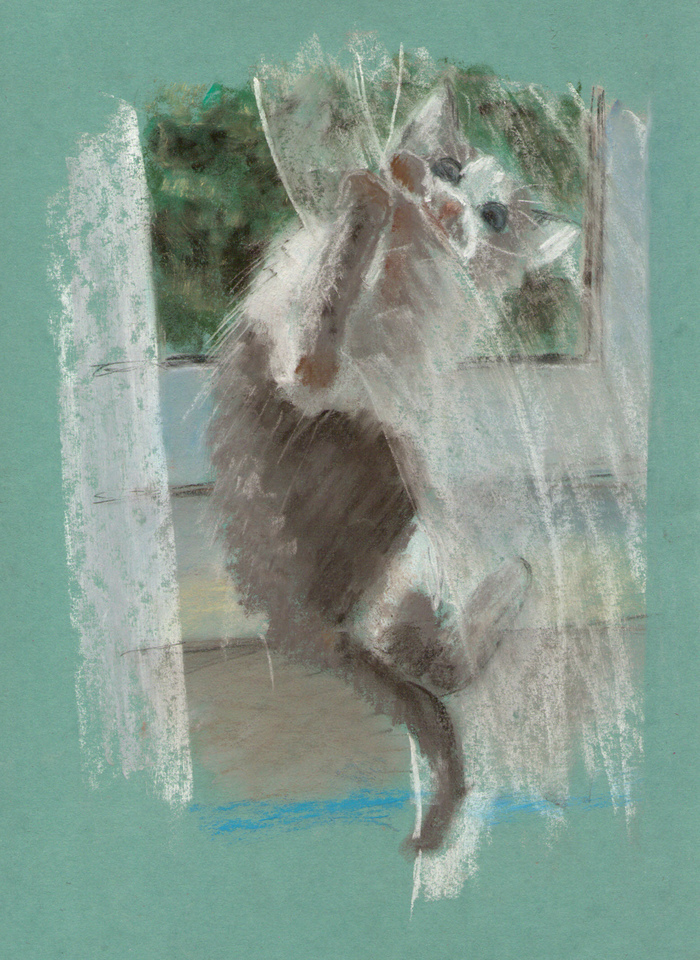 Little bully - My, Dry pastel, cat, Drawing, Animals, Art, , Longpost