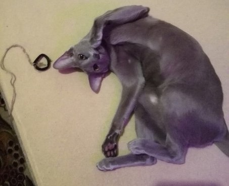 ������! ��������� �� ����?