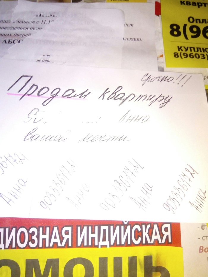 When the register decides - Ulyanovsk, Announcement, Anna, My