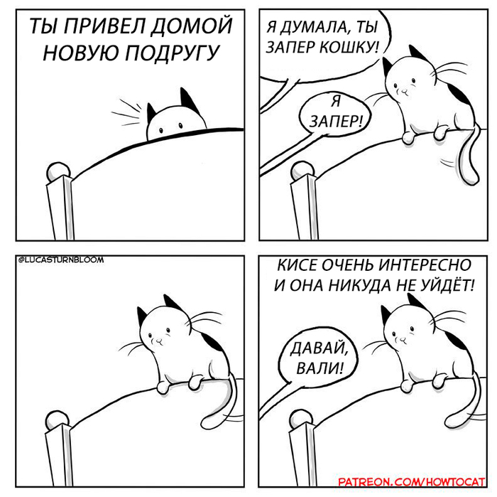 pussy voyeur - Comics, cat, Voyeurism