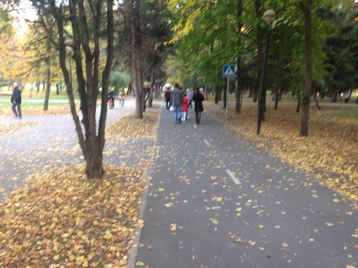 Bike path - My, Bike path, Lovers, Horses, Longpost, Belgorod, Children, Parents