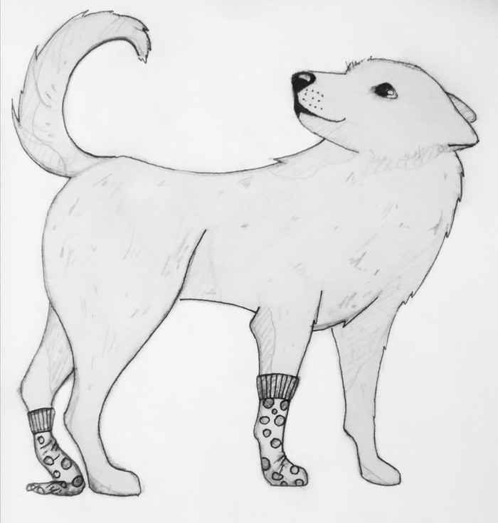 ϸ��� � ������