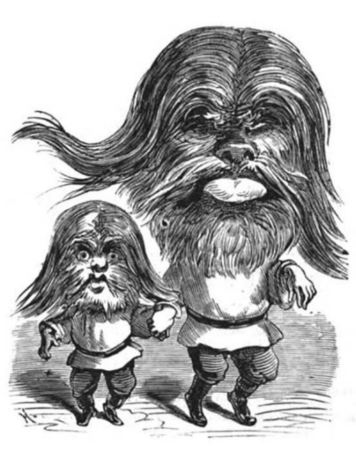 About Wookiee Ancestors - Wookiees, Barnum, Chewbacca, Longpost