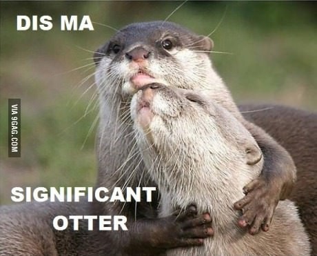 Выдры дело говорят - 9GAG, Otter, Картинка с текстом, Игра слов