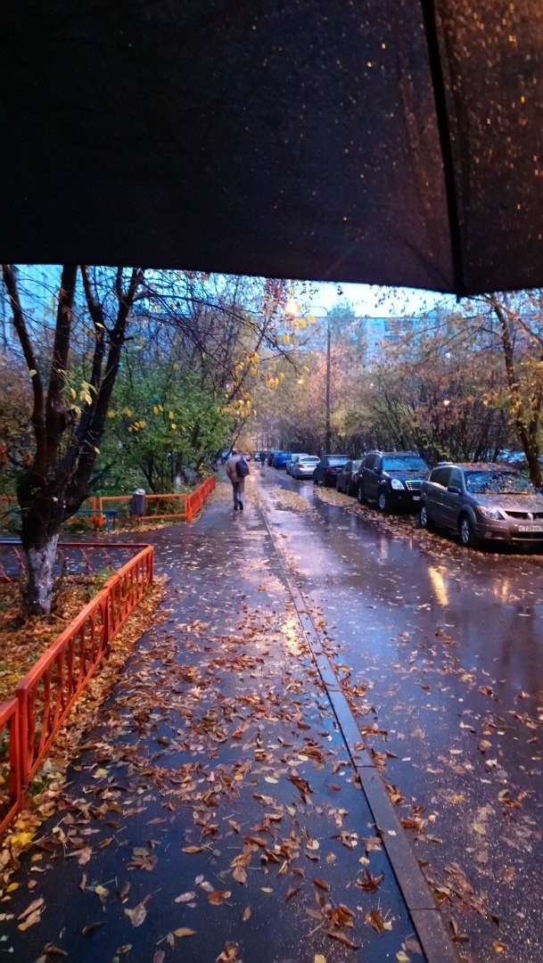 Road to work - My, Autumn, Rain, Calmness