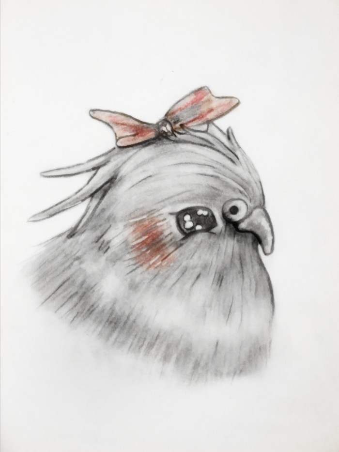 "� ����� ��������"