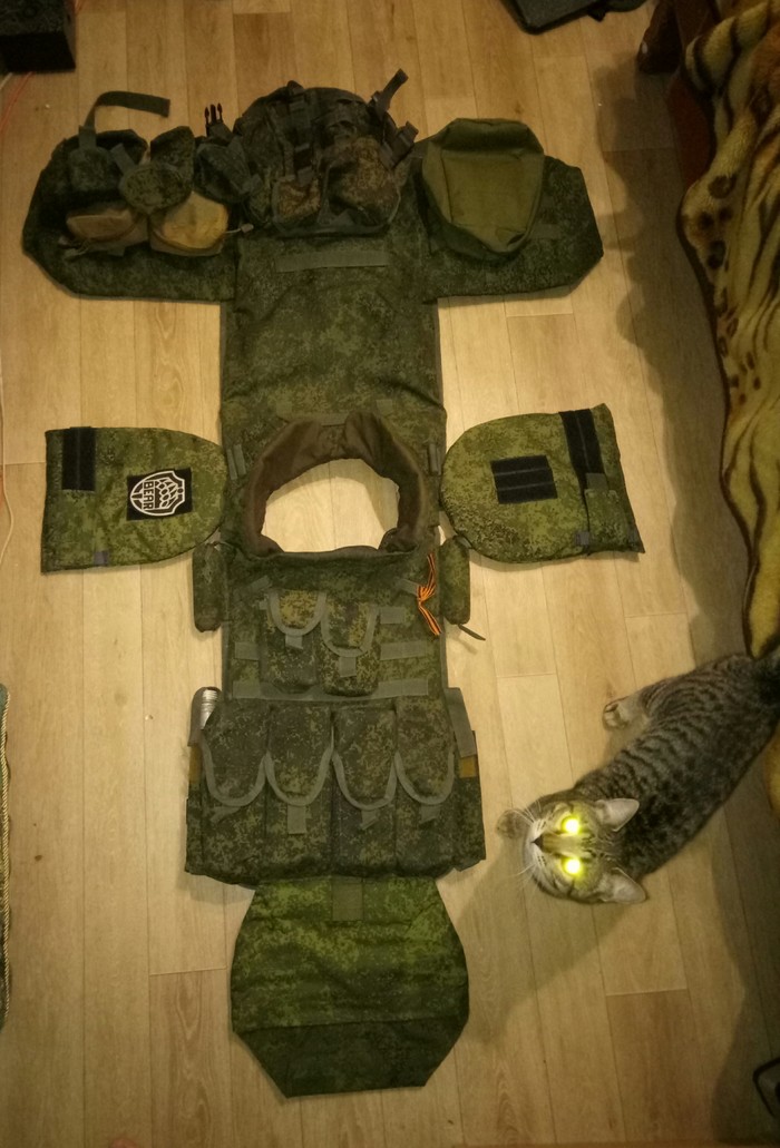 6b45. Review, body kit, impressions. Part 1. - My, Equipment, Bulletproof vest, Tactical equipment, Military, Longpost