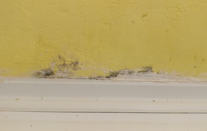 Advice from knowledgeable hackers needed - My, Mold control, Black mold, Bathroom, No rating, Mold