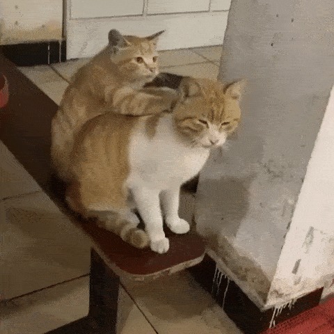 Этот парень знает толк в массаже.