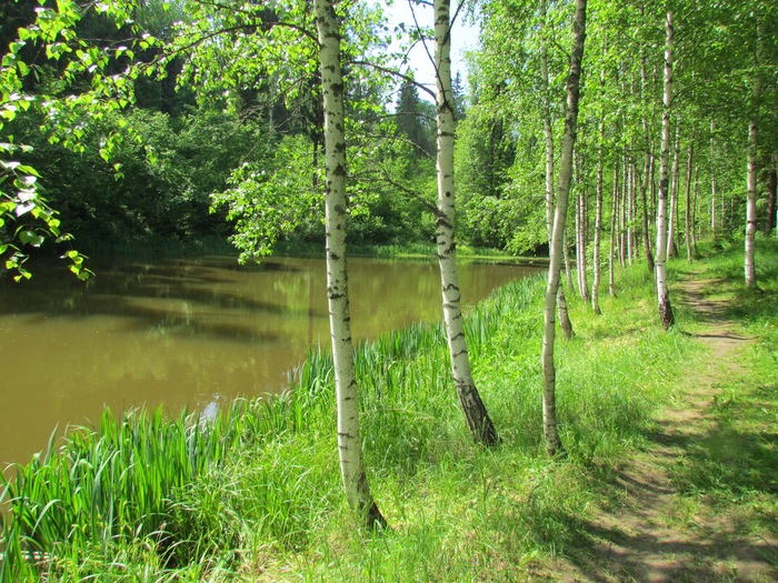 Shakhmatovo, next to the estate of Blok and Mendeleev - My, Nature, Manor, Shakhmatovo