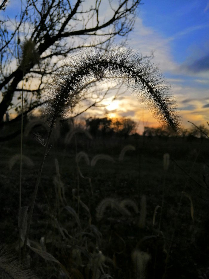 Sunset - My, The photo, Nature