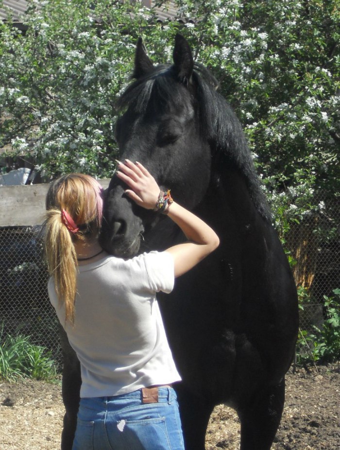 Photoshoot with a horse. Part II: Tips for the Photographer and the Model (from Equestrian) continued - My, Horseback Riding, Horses, On horseback, PHOTOSESSION, Animals, Landscape, Longpost