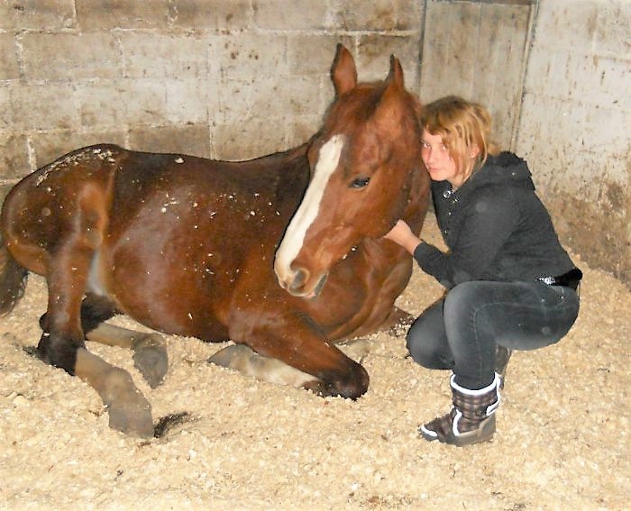 Photoshoot with a horse. Part II: Tips for the Photographer and the Model (from Equestrian) continued - My, Horseback Riding, Horses, On horseback, PHOTOSESSION, Animals, Landscape, Longpost